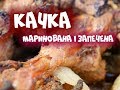 Качка Маринована Та Запечена Зробить Вас Героєм Дня!!!