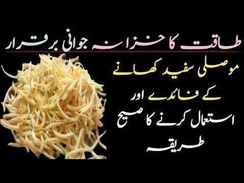 موصلی سفید کے فوائد مردانہ کمزوری کیلئے بہترین نسخہ جوڑوں پٹھوں میں درد کا علاج