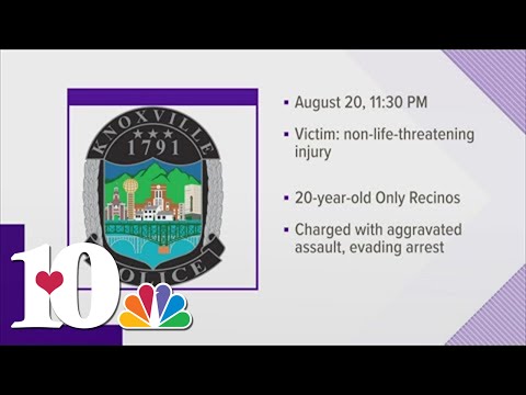 24 Hour Arrest Knoxville Cityevent Calendar