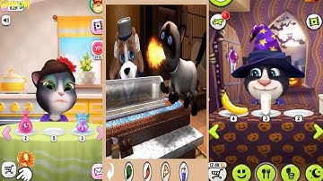 My Talking Angela VS My Talking Tom VS TALKING DUKE PUP 2 Gameplay