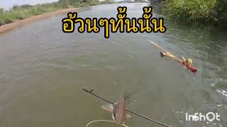 ดำน้ำยิงปลาแม่น้ำปิงหมายก่อไผ่ในตำนานวังปลากดเหลืองปลากดคลัง