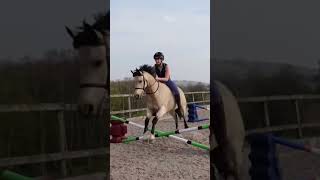 My favourite Megan Elphick jumps! 💖 || Video credits - @elphick.event.ponies #shorts