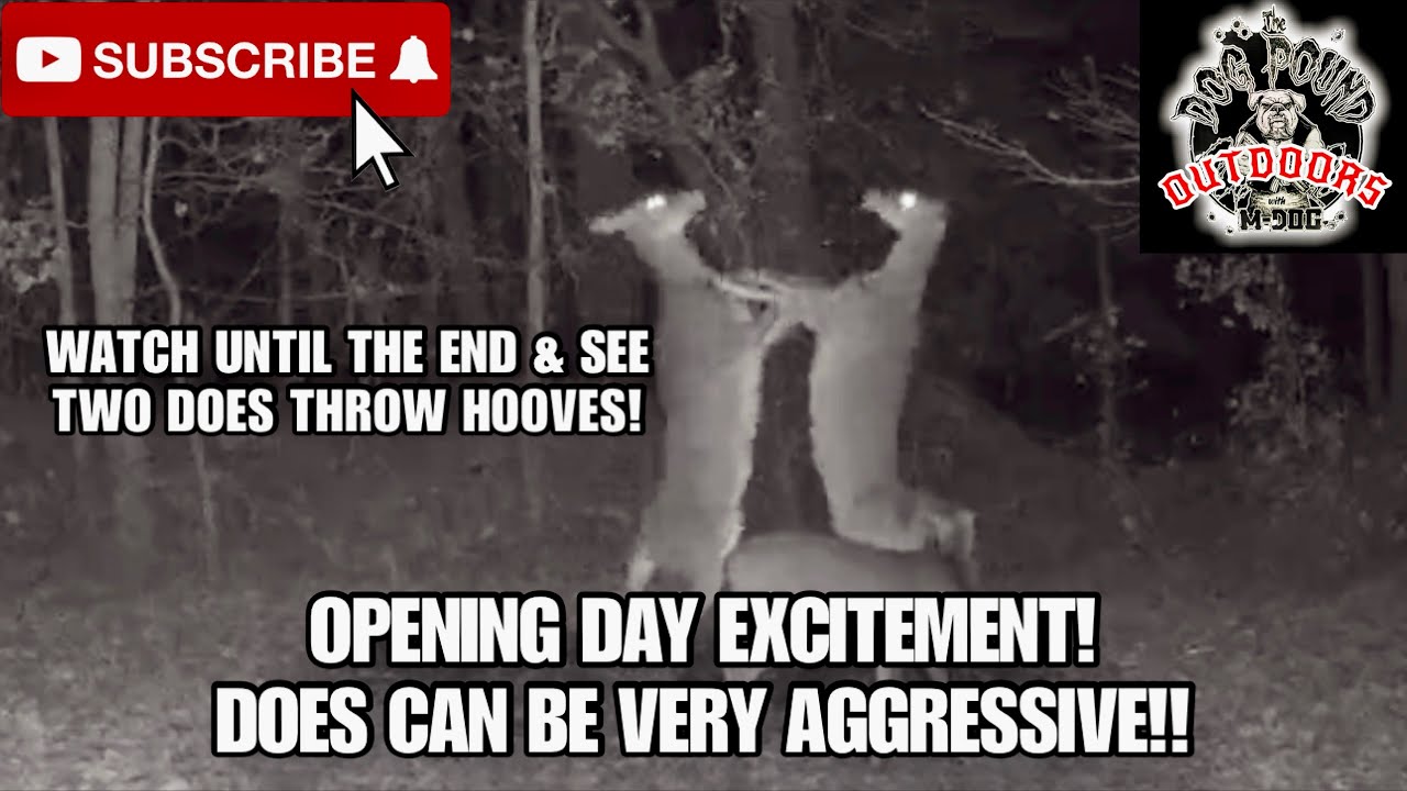 ДЕНЬ ОТКРЫТИЯ СЕЗОНА ОГНЕСТРЕЛЬНОЙ СТРЕЛЬБЫ 2025 ГОДА В ДЕЛАВЭРЕ! СМОТРИ ДО КОНЦА!