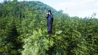 WHERE WINDS MEET: NEW QINGGONG SO COOL! JUMPING FROM BAMBOO TO BAMBOO screenshot 3