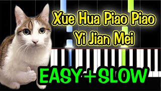 Video thumbnail of "Xue Hua Piao Piao - Yi Jian Mei - Piano Tutorial Easy SLOW + Free Sheet Music PDF"