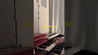 Ladle Cheese #music #jazz #keyboard #organ #crumar