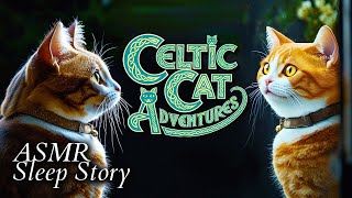 Restful Celtic Cat IRISH SLEEP STORY | Fantasy, Legends &amp; Myths | with cozy rain ambience