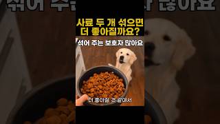 강아지 사료 섞어 먹이면 생기는 문제