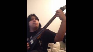 Hate  Immolate The Pope cover