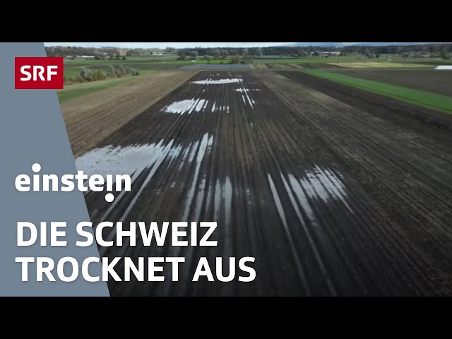 Schweizer Böden brauchen Hilfe! Sie sind zu trocken und zu dicht | Einstein | SRF