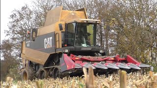 CAT Lexion 465 Mais Dreschen Extrem Hang Nass Caterpillar Claas Lexion 460 480 MAN Meiler Dominoni