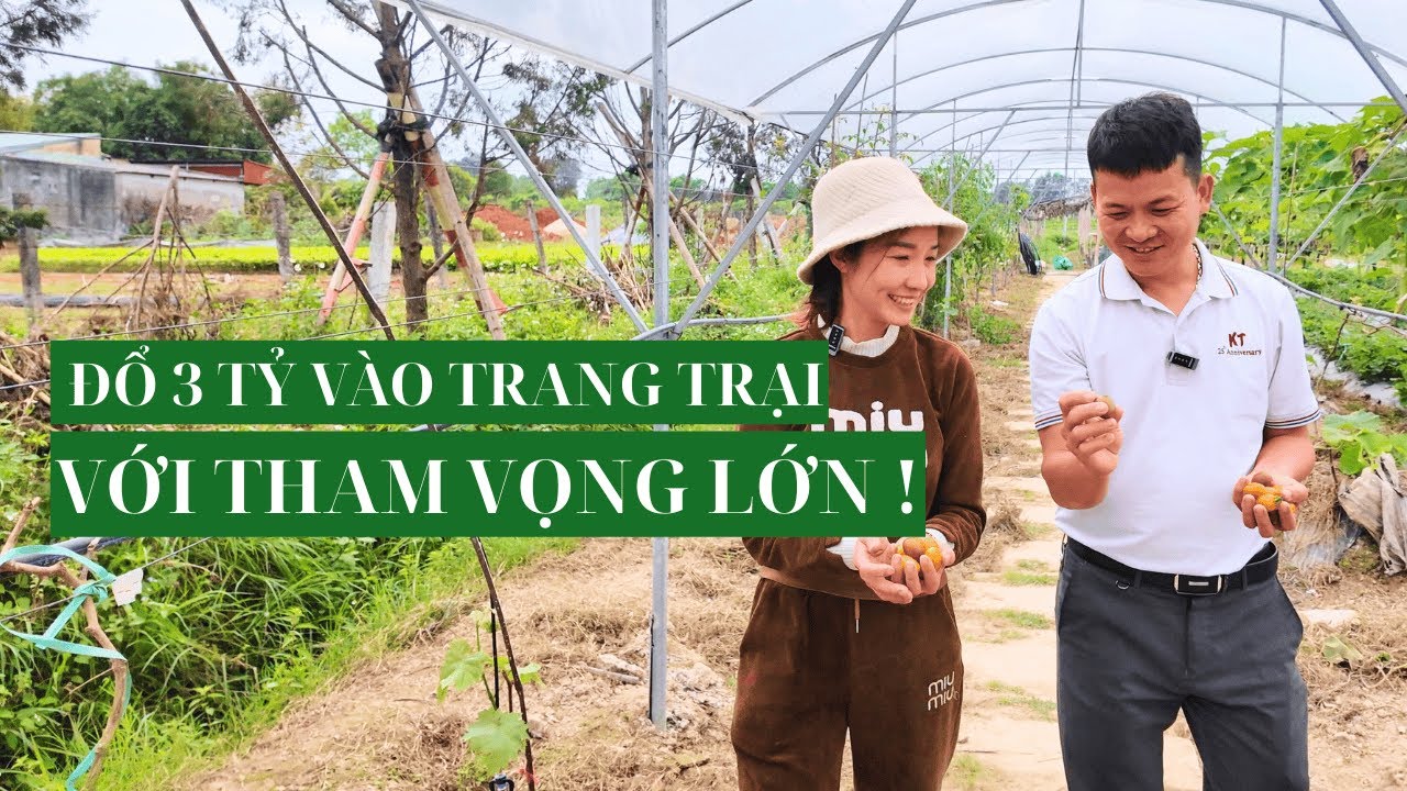 Cùng Người Đặc Biệt Thăm Mô Hình Trang Trại Kiếm Tiền Tỷ Mỗi Năm.