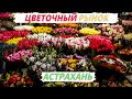 Рынок Цветов в Астрахани! #цветы #астрахань #рынок