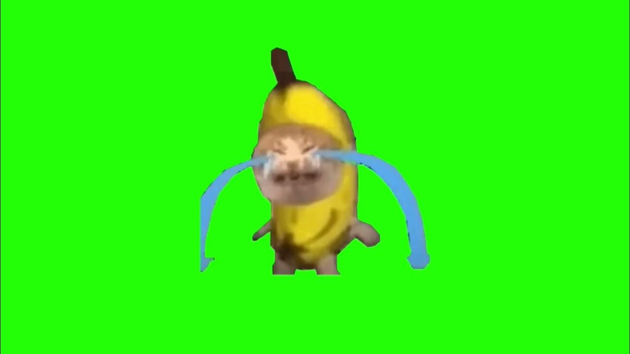 BANANA CAT CRYING GREENSCREEN YouTube