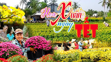 NGÀY GIÁP TẾT - THƯƠNG BẾP CÀ RÀNG ĐỎ LỬA, THƯƠNG GIÀN HOA VẠN THỌ TRƯỚC NHÀ| Miền Tây Phố
