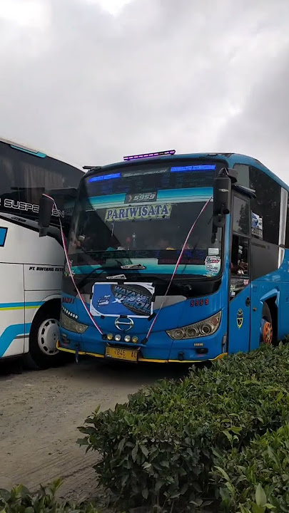 BASURI BUS DAMRI 5959 'SHE JAGUR' #basuri #busmania #moduldav #basurihorn #tranding