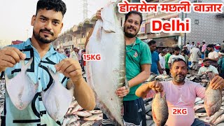 सबसे सस्ता मछली बाजार ॥ Ghazipur fish market rate today| गाजीपुर मछली मंडी॥RRRM | 