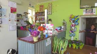 2a Cadell st, Goolwa F39B1393 1EE1 4946 AE2A 7AB10E903D03