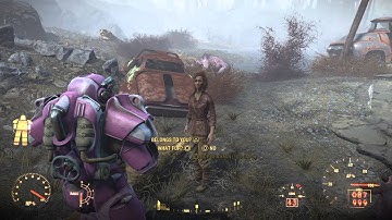 Buying a Brahmin from Kelly