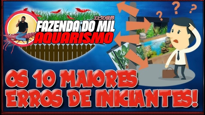 10 Peixes compatíveis com camarões Neocaridinas ~ Aquanimal