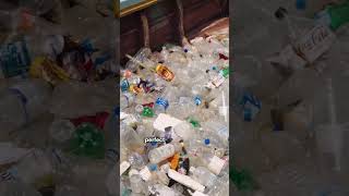 The story of Plastic  #Plastic#History#Innovation#ScienceFacts#Shorts#PlasticHistory#Nylon#PETBottle
