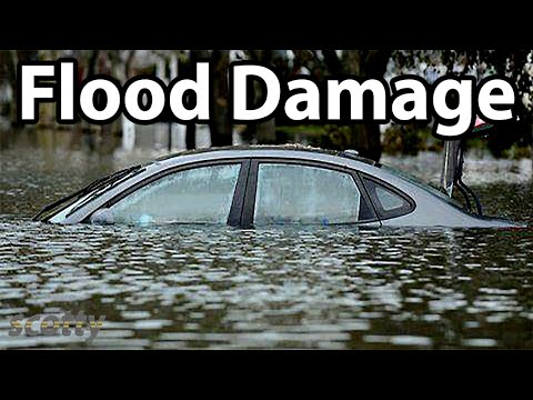 Checking A Used Car For Flood Damage