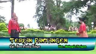Terpan Pantangen