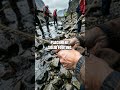 Ridge Storm Tactics Real World Survival with Field Experts
