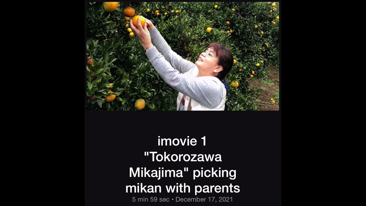 Tokorozawa @ Mikajima picking mikan🍊2021 (15th vlog)