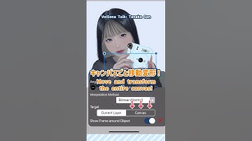 Move and transform the entire canvas【ibisPaint】