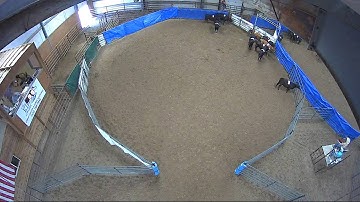 Big Sky Ranch Sorting Saddle Series #4 - #3 SORT - Round #1 - Ride #37