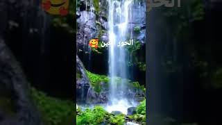 صفات الحور العين ?