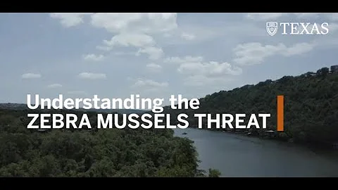 what is being done to control zebra mussels