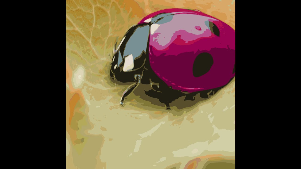 semiotik | coccinelidaephobia