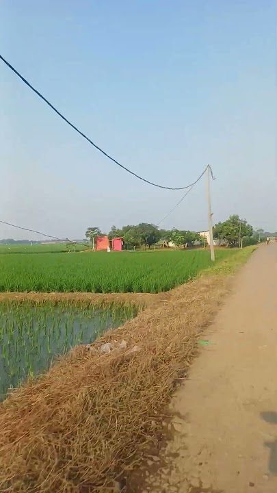 Wankaya Haurgeulis Indramayu #sipalingjalanjalan