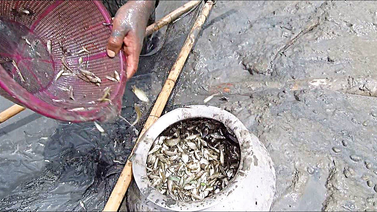 guatemala dating sites