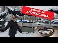 VLOG| VISITANDO UNA FINCA DE ACUICULTURA