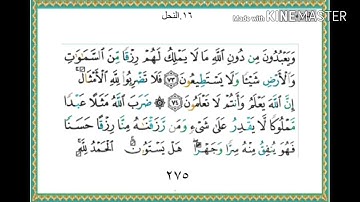 سورة النحل - من آية ( ٧٣ ) إلى آية ( ٧٩ ) - للقارئ : ياسر الدوسري .