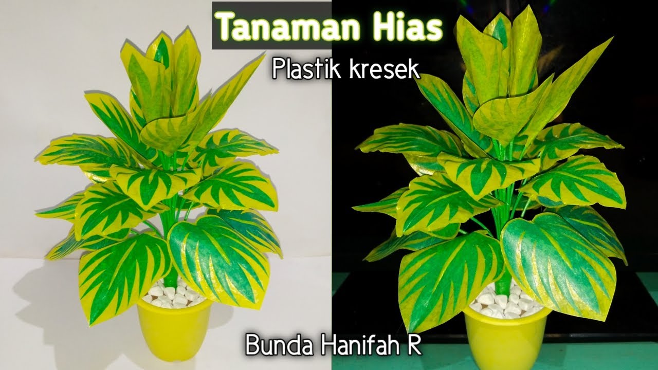 DIY cara  membuat  Tanaman  hias  dari  plastik kresek  l How to 