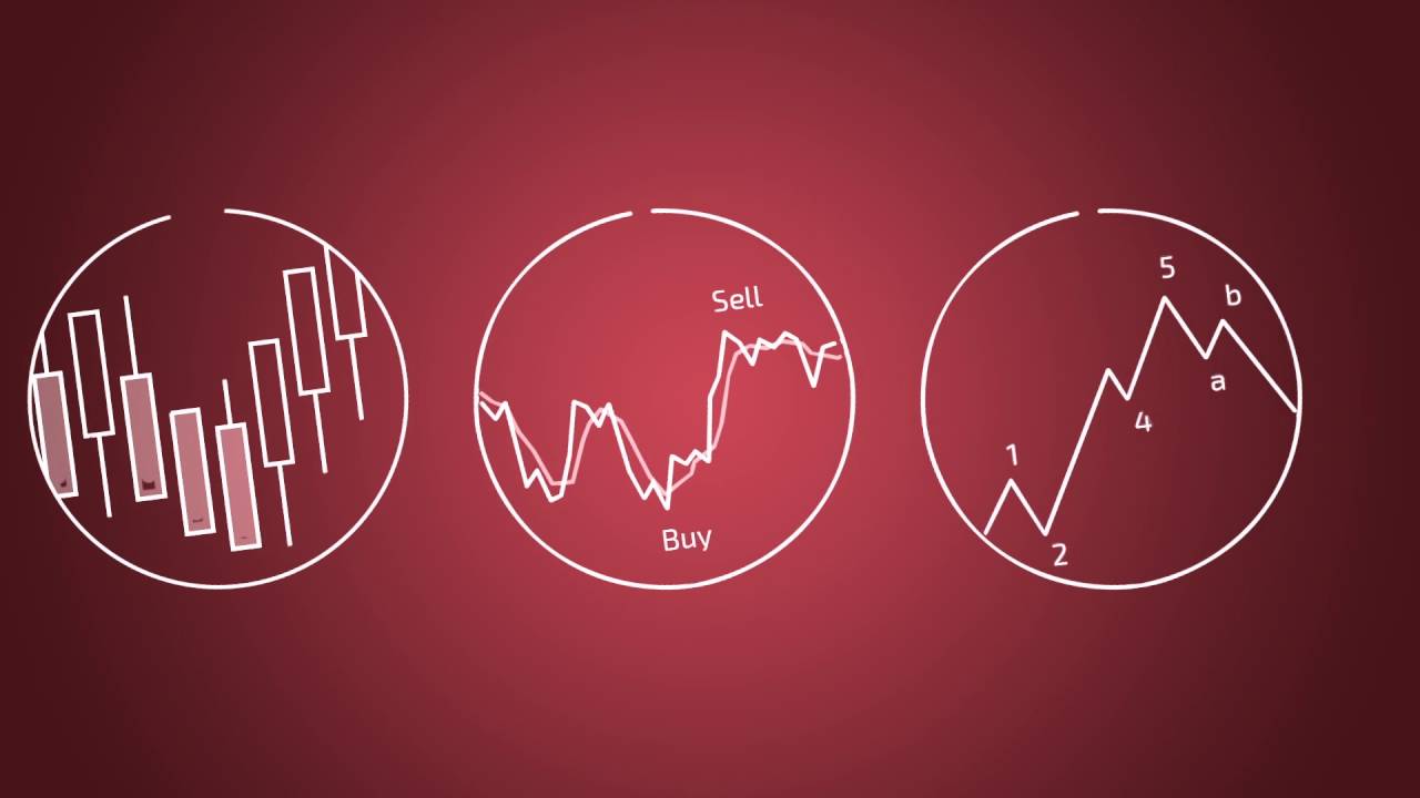 Technicianapp Charts