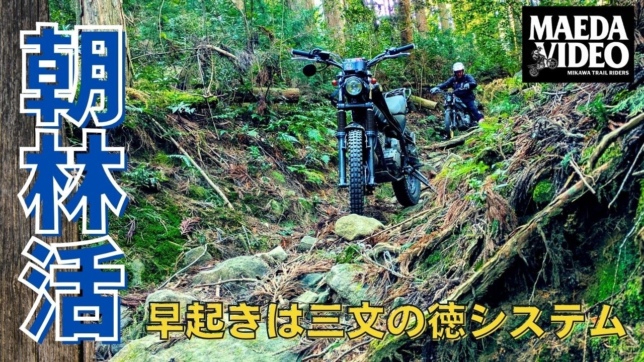 【三河 林道】朝林活 早起きは三文の徳システム未発動【トリッカー】