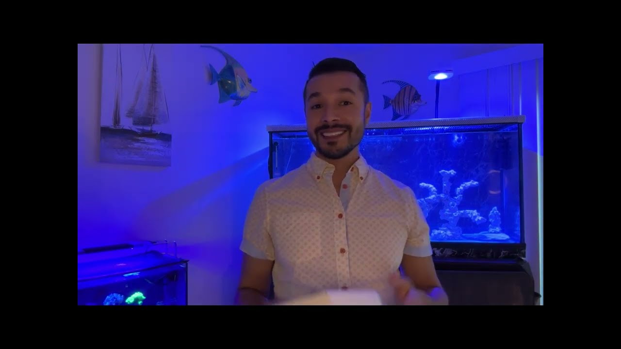 COMO CONFIGURAR UNA LÁMPARA AI PRIME 16 HD PARA ACUARIO MARINO DESDE CERO