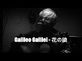 Galileo Galilei - 花の狼 (Acoustic cover)