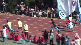 1071229校慶運動會37五年級男生1短跑