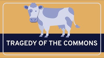 PHILOSOPHY - Rational Choice Theory: Tragedy of the Commons [HD]