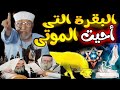 شاهد معجزة بقرة بنى إسرائيل التى أحيت الموتى بزمن سيدنا موسى سورة البقرة الشيخ الشعراوي