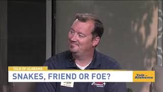 Tips for Summer Snake Control from Stark Exterminators