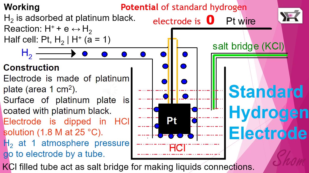 Potentiometry Standard Hydrogen Electrode by Shom Prakash Kushwaha, HIPER, India YouTube