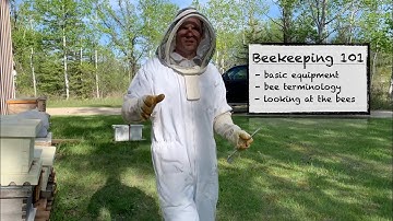 BEEKEEPING for BEGINNERS - Learn some basics, equipment needed to start, terminology