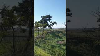 20191016 제주 모슬포 마라도 돌아나와 운진항 제주올레 10코스 대정들녁 지나 섯알오름 제주 4ㆍ3 유적지 슬픈역사의 현장 ^^